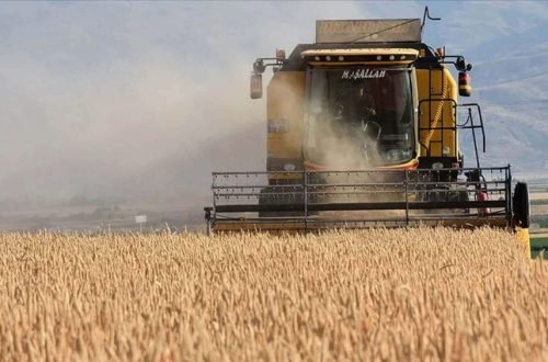 Agricultural Subsidies in Turkey